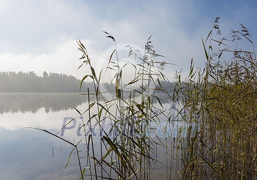 Foggy lake scenery in september Foggy lake scenery in september