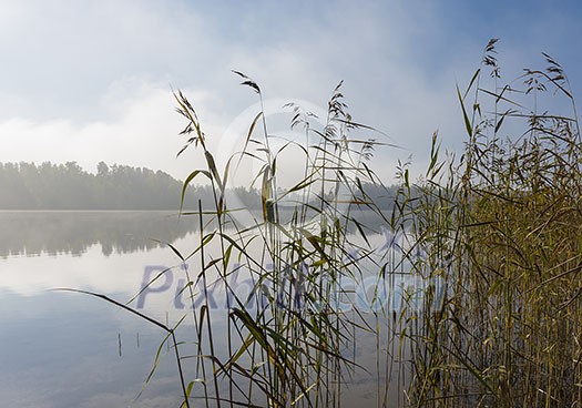 Foggy lake scenery in september