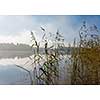 Foggy lake scenery in september