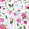 Elegance Seamless wallpaper pattern with flowers on pink background