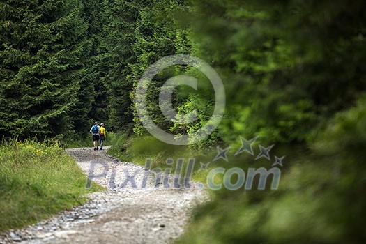 People hiking - going through a lovely alpine forest path People hiking - going through a lovely alpine forest path