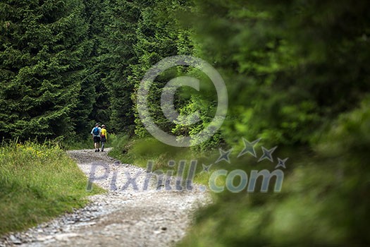 People hiking - going through a lovely alpine forest path