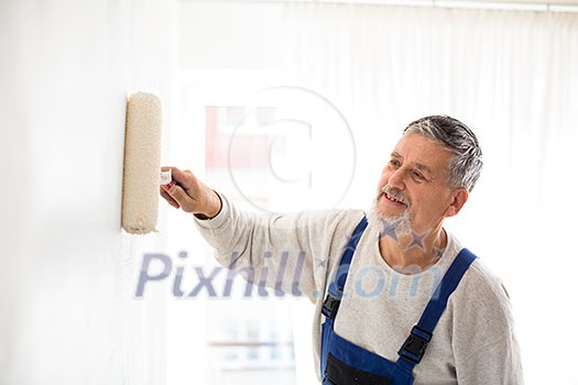 Senior man painting a wall in with paint roller, smiling, enjoying the work