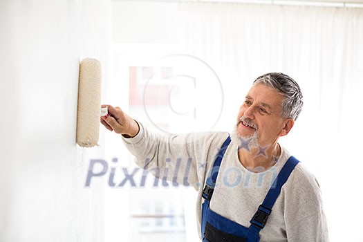 Senior man painting a wall in with paint roller, smiling, enjoying the work Senior man painting a wall in with paint roller, smiling, enjoying the work