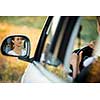 Pretty, young woman  driving her car - reflection in the side mirror (shallow DOF; color toned image)