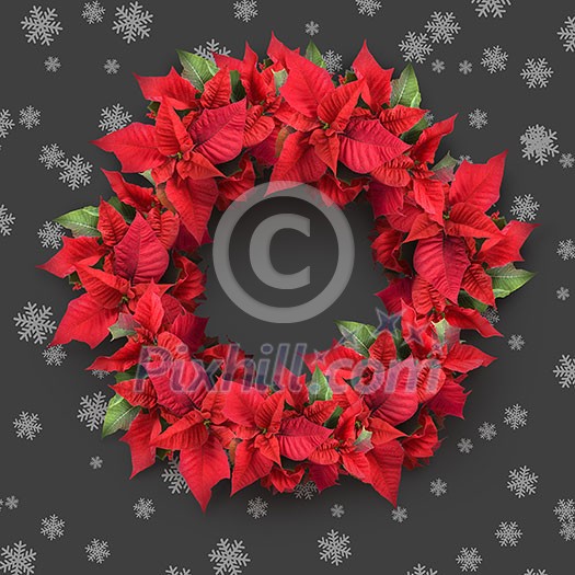 christmas wreath from poinsettia on grey background with snowflakes