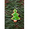 cookie in the shape of a Christmas tree on pine needles background