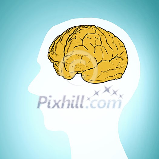 Silhouette of a man's head and brain illustration