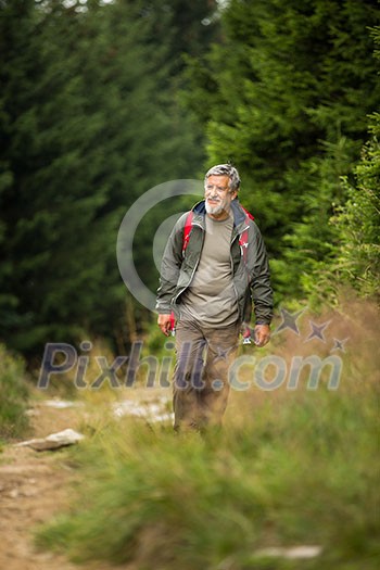 Active senior hiking in high mountains - enjoying his retirement in an active way