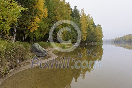 Foggy beach landscape in october