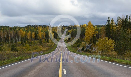 Road scenery in fall colors