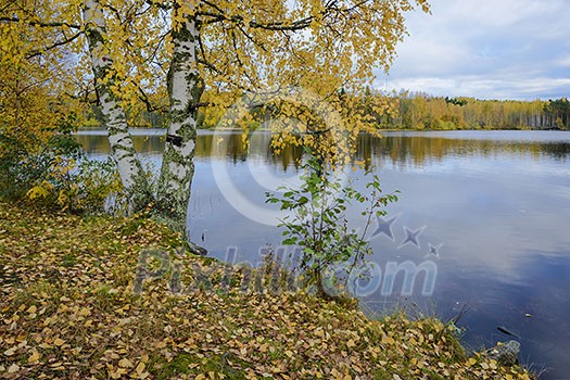 Lake landscape in autumn colors