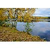 Lake landscape in autumn colors