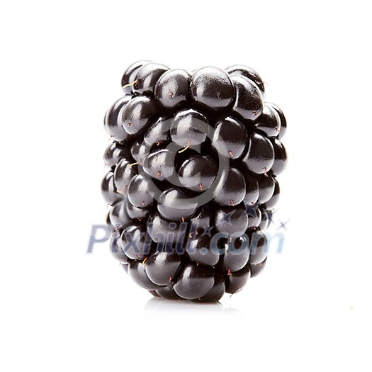 one fresh blackberry isolated on a white background
