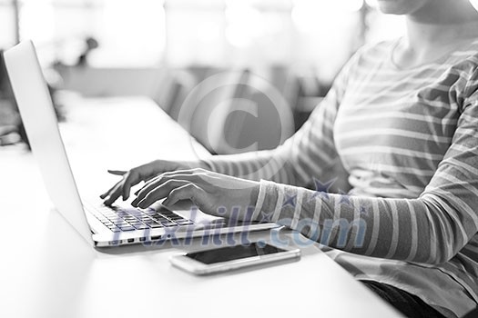 Young female Entrepreneur Freelancer Working Using A Laptop In Coworking space Young female Entrepreneur Freelancer Working Using A Laptop In Coworking space
