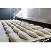 bread bakery food factory production with fresh products