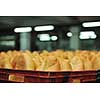 bread bakery food factory production with fresh products