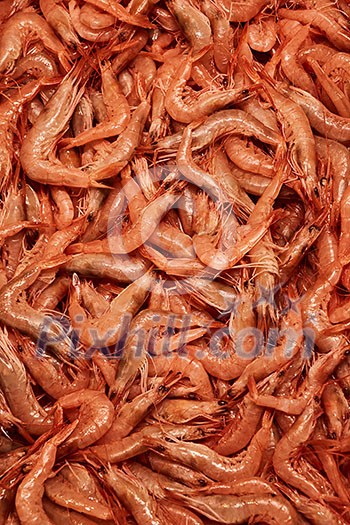 fresh raw shrimp, healthy seafood