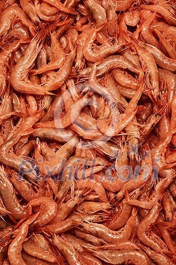 fresh raw shrimp, healthy seafood fresh raw shrimp, healthy seafood
