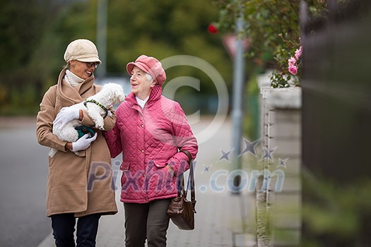 Senior woman walking her little dog on a city street with her granddaughter; looking happy and relaxed (shallow DOF)