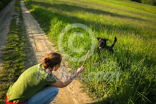 Walking the dog - throwing the stick to fetch to this eager companion