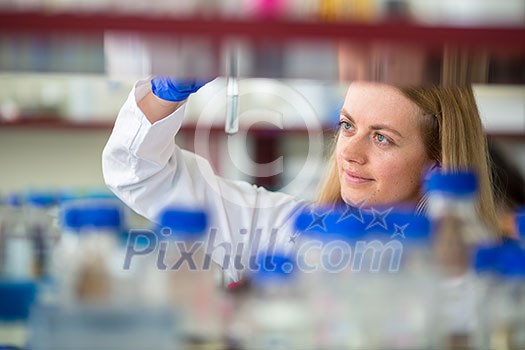 Portrait of a female researcher doing research in a lab (shallow DOF; color toned image) Portrait of a female researcher doing research in a lab (shallow DOF; color toned image)