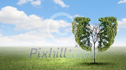 Conceptual image of green tree shaped like human lungs Conceptual image of green tree shaped like human lungs