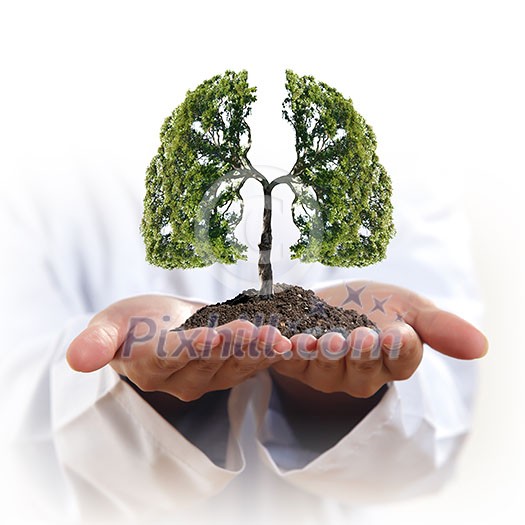 Conceptual image of green tree in hands shaped like human lungs Conceptual image of green tree in hands shaped like human lungs