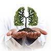 Conceptual image of green tree in hands shaped like human lungs