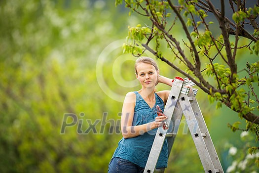 Pretty, young woman gardening in her orchard/garden (color toned image)