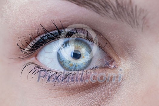 Close-up of a beautiful female blue eye Close-up of a beautiful female blue eye