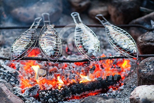 Grilling fish on campfire Grilling fish on campfire
