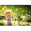 Pretty, young woman gardening in her garden, cutting branches, taking care of her lovely orchard