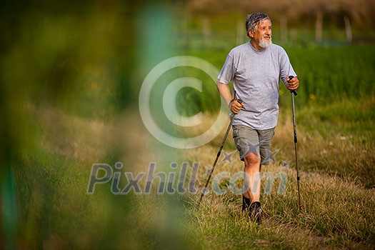 Active handsome senior man nordic walking outdoors on a forest path, enjoying his retirement Active handsome senior man nordic walking outdoors on a forest path, enjoying his retirement