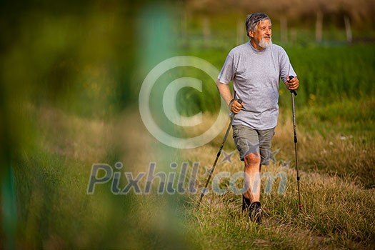 Active handsome senior man nordic walking outdoors on a forest path, enjoying his retirement