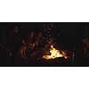 Young Couple Sitting with friends Around Campfire on The Beach At Night drinking beer