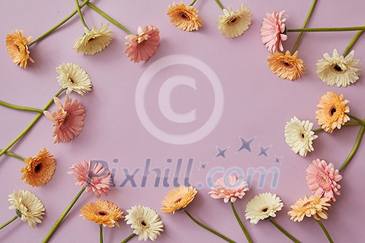 Interesting frame of multicolored gerberas with a copy space for a subliminal postcard for spring holidays Interesting frame of multicolored gerberas with a copy space for a subliminal postcard for spring holidays