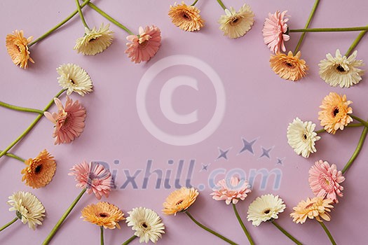 Interesting frame of multicolored gerberas with a copy space for a subliminal postcard for spring holidays