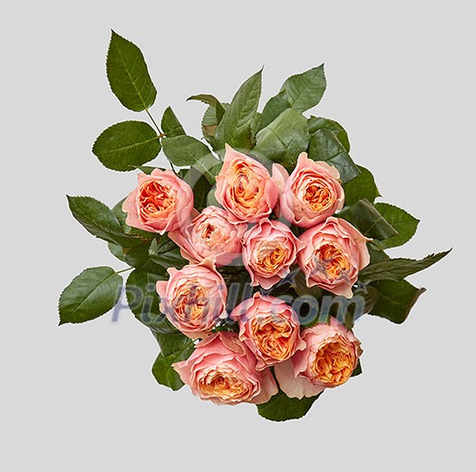 Creative pink bouquet of rose with green leaves on gray background as a concept of a holiday greeting card for Mother's Day or March 8 . Flat lay composition. Creative pink bouquet of rose with green leaves on gray background as a concept of a holiday greeting card for Mother's Day or March 8 . Flat lay composition.