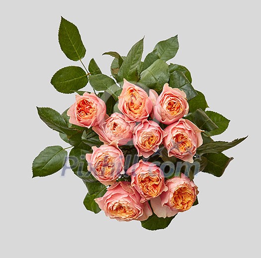 Creative pink bouquet of rose with green leaves on gray background as a concept of a holiday greeting card for Mother's Day or March 8 . Flat lay composition.