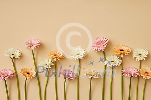 Composition from different gerberas on a yellow paper background. Spring composition. A greeting card for Mother's Day or March 8. Flat lay Composition from different gerberas on a yellow paper background. Spring composition. A greeting card for Mother's Day or March 8. Flat lay