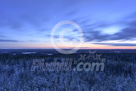 Snowy forest seen from above