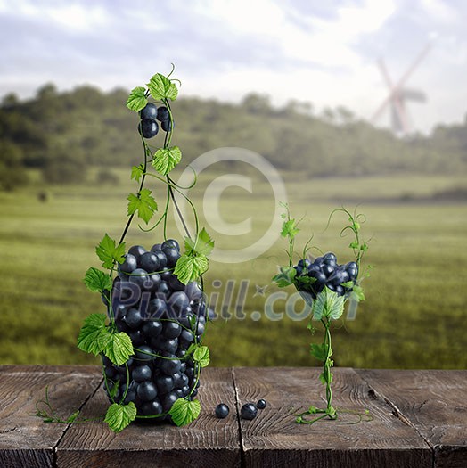 a bottle and one glass of wine made of grapes. Vineyard and bunches of grapes on a wooden old background, in the background vineyards with a mill and clouds