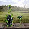 a bottle and one glass of wine made of grapes. Vineyard and bunches of grapes on a wooden old background, in the background vineyards with a mill and clouds