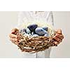 Nest with painted blue eggs, woman holding a nest of branches on a gray background. Easter post card