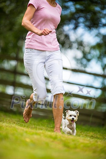 Cute little dog doing agility drill - running slalom, being obediend and making his master proud and happy Cute little dog doing agility drill - running slalom, being obediend and making his master proud and happy
