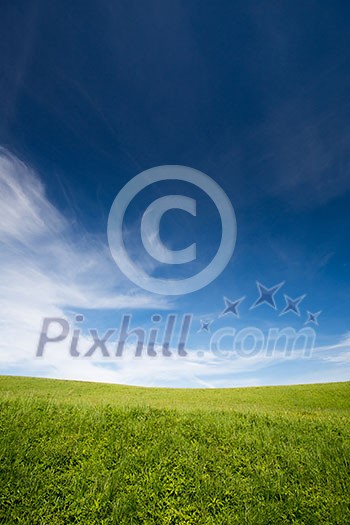 lovely summer field with blue sky