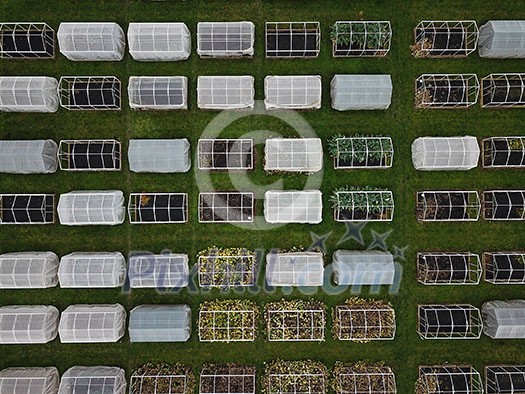 Aerial view of multiple greenhouses