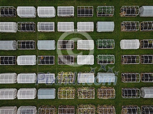 Aerial view of multiple greenhouses Aerial view of multiple greenhouses