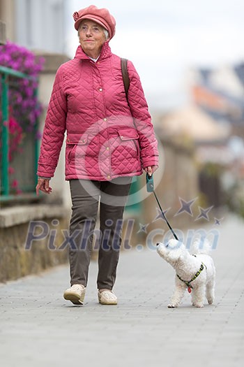 Senior woman walking her little dog on a city street; looking happy and relaxed (shallow DOF) Senior woman walking her little dog on a city street; looking happy and relaxed (shallow DOF)